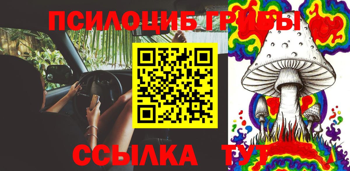Галлюциногенные грибы Psilocybe Новочеркасск